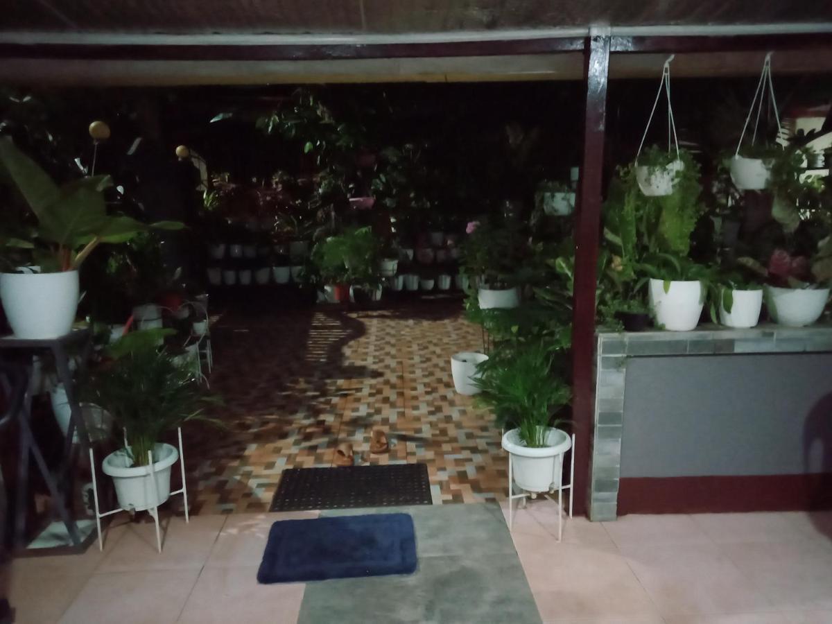 Dalinda'S Homestay Puerto Princesa Exterior photo