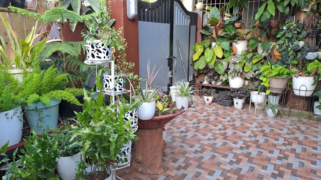Dalinda'S Homestay Puerto Princesa Exterior photo